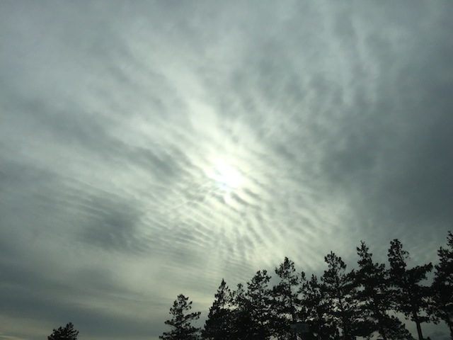 cirrocumulus.jpg